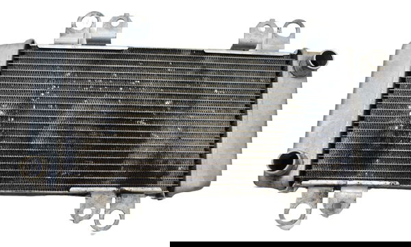 Radiador Kawasaki Ninja 300 13-18 Original