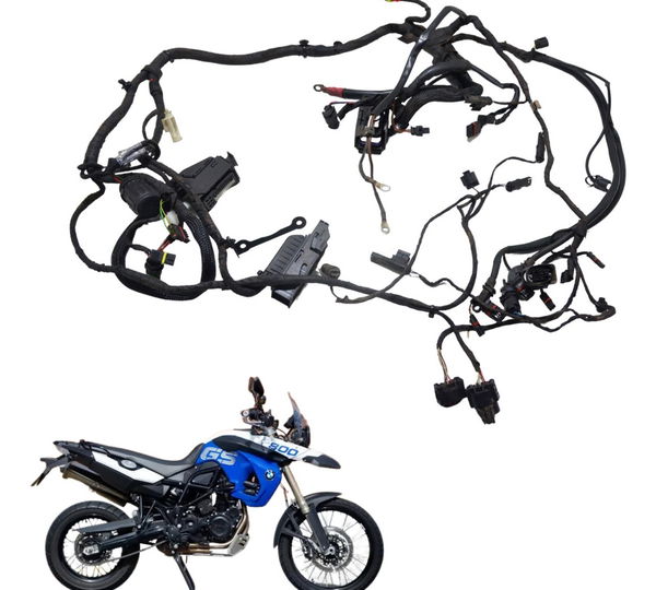 Chicote Principal Bmw F 800 Gs 11-13 Original