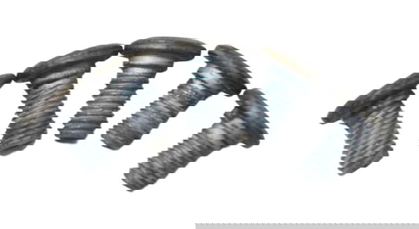 Parafuso Disco Freio Traseiro Bmw F 800 Gs 11-13 Original