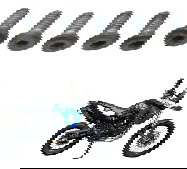 Parafuso Disco Freio Traseiro Bmw F 800 Gs 11-13 Original