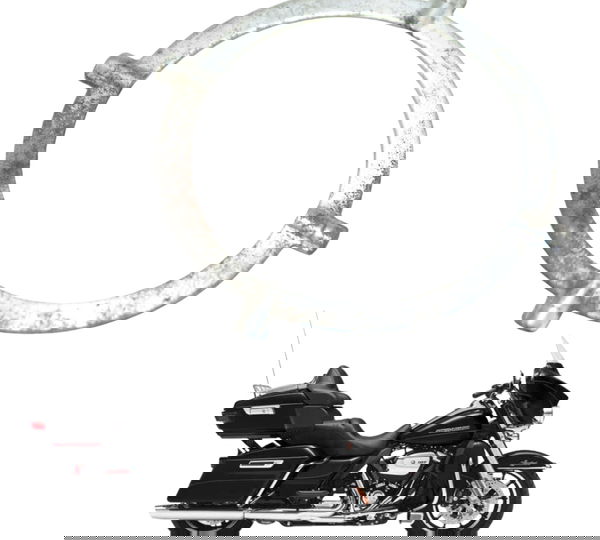 Trava Flange Bomba Gasolina Harley 114 Touring M8 18-20 Orig