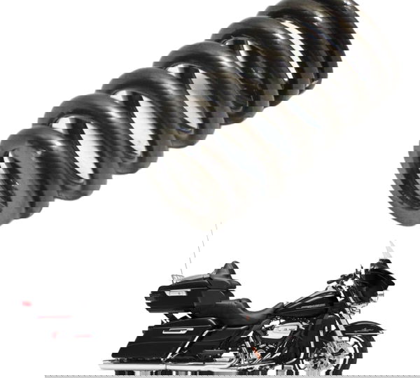 Mola Válvula Harley 114 Touring M8 18-20 Original