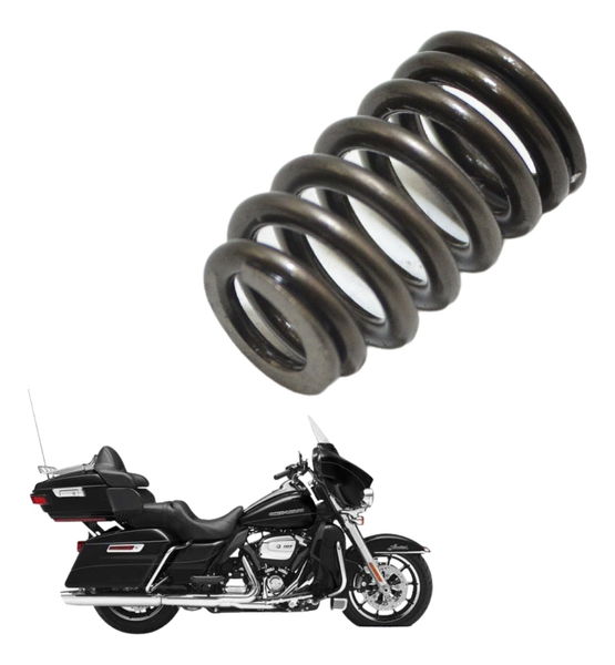 Mola Válvula Harley 114 Touring M8 18-20 Original