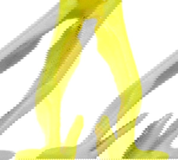 Trava Carenagem Rabeta Honda Cg 160 Titan Original Amarelo