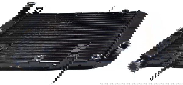 Radiador Suzuki Dl 1000 V Strom 06-12 Original