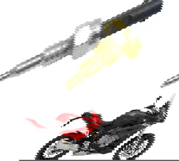 Sensor Temperatura Bmw S 1000xr 15-19 Original