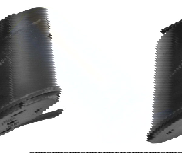 Filtro Canister Bmw S 1000 Xr 15-19 Original