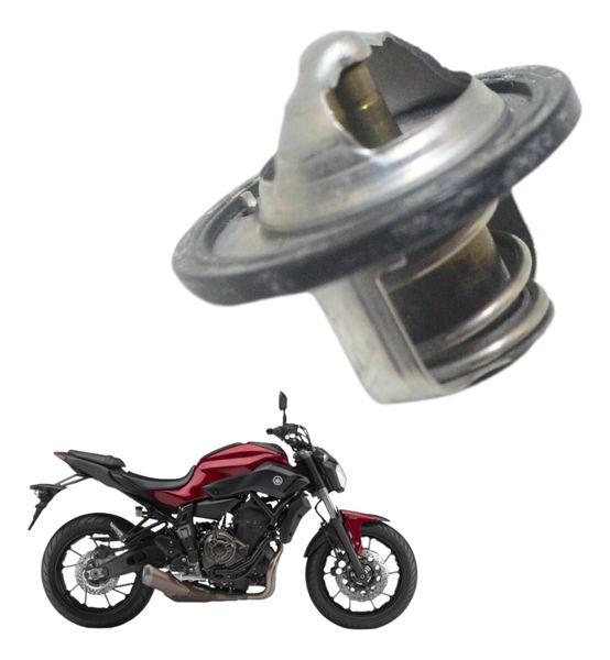 Válvula Termostática Yamaha Mt 07 15-18 Original