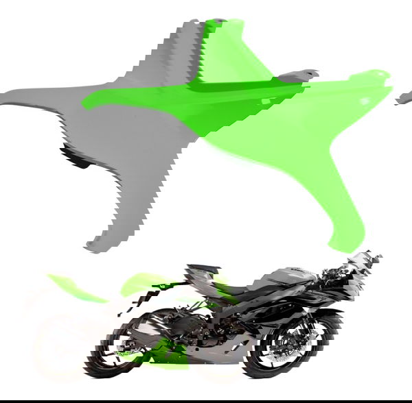 Carenagem Rabeta Central Kawasaki Zx 6r 08-12 Original