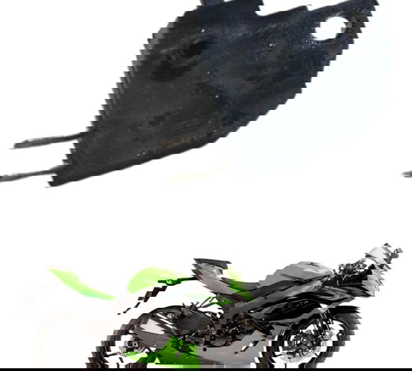 Interruptor Freio Dianteiro Kawasaki Zx 6r 08-12 Original