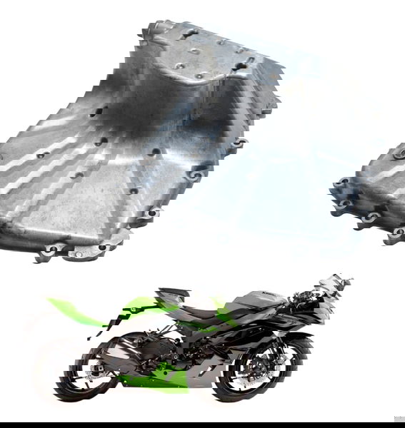 Tampa Carter Kawasaki Zx 6r 08-12 Original