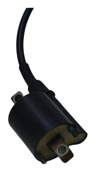 Bobina Ignição Honda Cg 160 Fan 16-22 Original