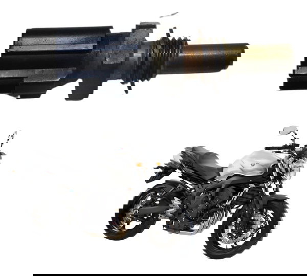 Sensor Temperatura Yamaha Fazer 600 N 08-09 Original