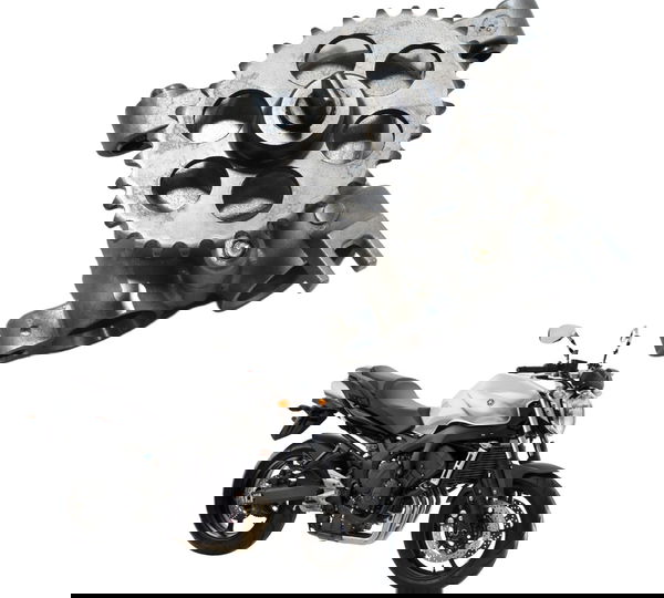 Bomba Óleo Yamaha Fazer 600 N 08-09 Original