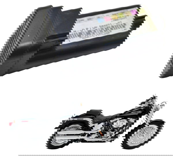 Modulo Tsm Segurança Harley Softail Fat Boy 2007 Original