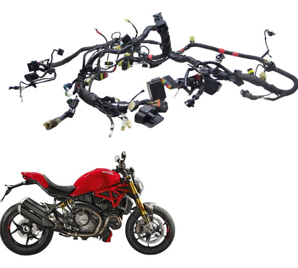 Chicote Principal Ducati Monster 1200 S 17-21 Original