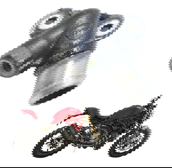 Conexão Água Ducati Monster 1200 S 17-21 Original