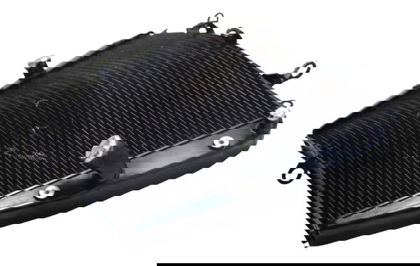 Radiador C/ Detalhes Honda Cbr 1000 Rr 08-11 Original