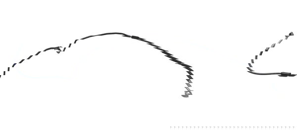 Flexível Freio Dianteiro Bmw S 1000 Rr 10-14 Original