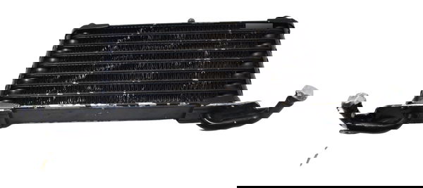 Radiador Óleo C/ Detalhes Bmw S 1000 Rr 10-14 Original