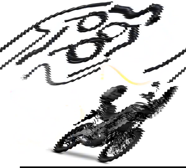 Kit Mangueiras Kawasaki Versys 650 10-14 Original