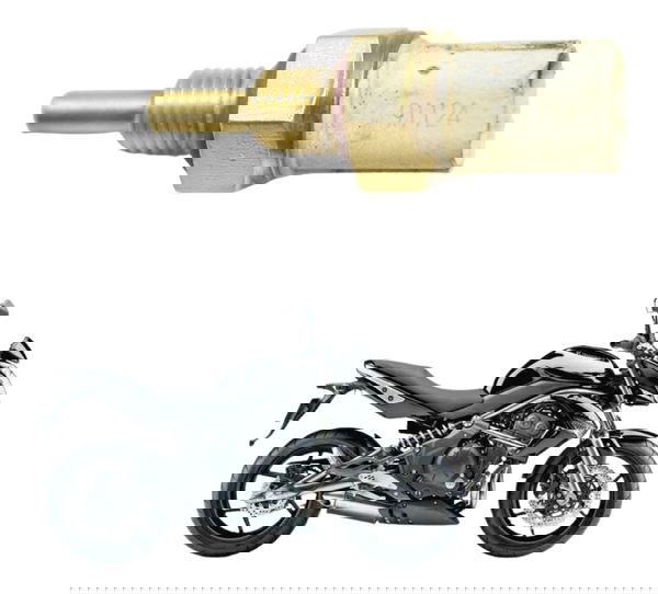 Sensor Temperatura Kawasaki Er 6n 10-14 Original