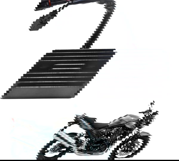 Retificador Carga Suzuki Bandit 1250 N 12-16 Original 12v