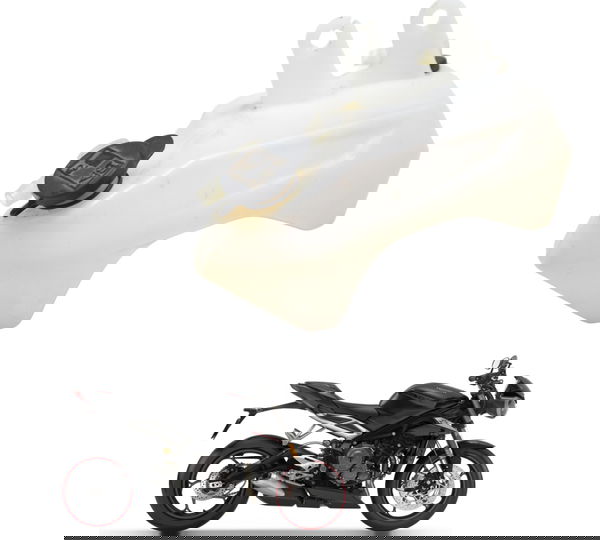 Reservatório Água Triumph Street Triple 765 Rs 18-23 Orig