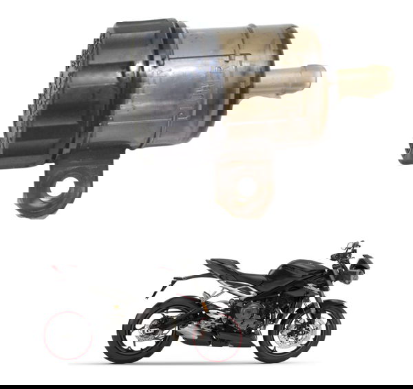 Reservatório Freio Tras Triumph Street Triple 765 Rs 18-23