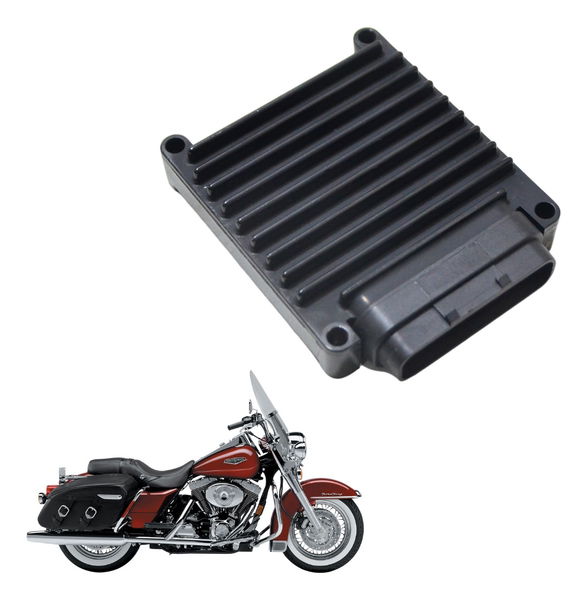 Modulo Principal Ecu Harley Road King 1450 04-05 Original