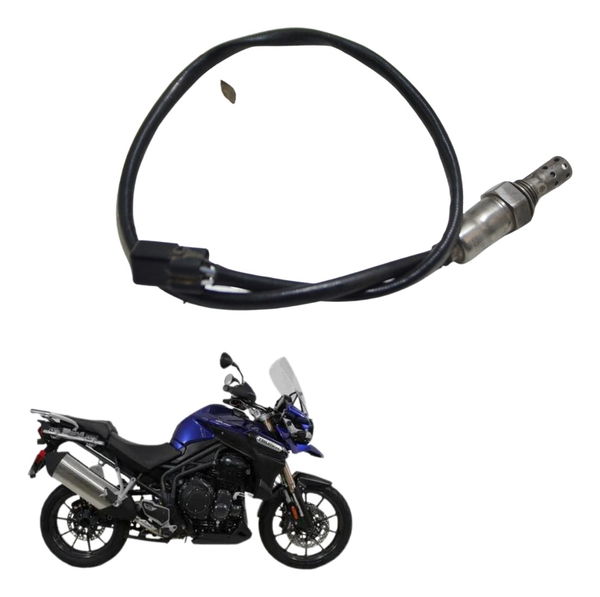 Sonda Lambda Triumph Tiger 1200 12-17 Ex Original