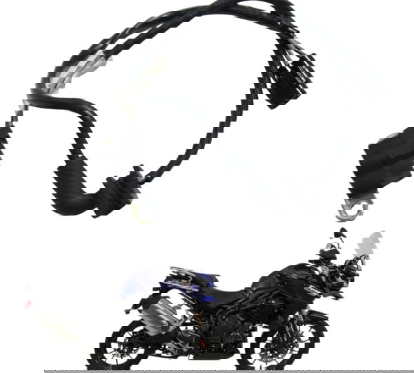 Sensor Pulso Virabrequim Triumph Tiger 1200 12-17 Ex Orig