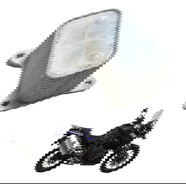 Resfriador Óleo Triumph Tiger 1200 12-17 Ex Original