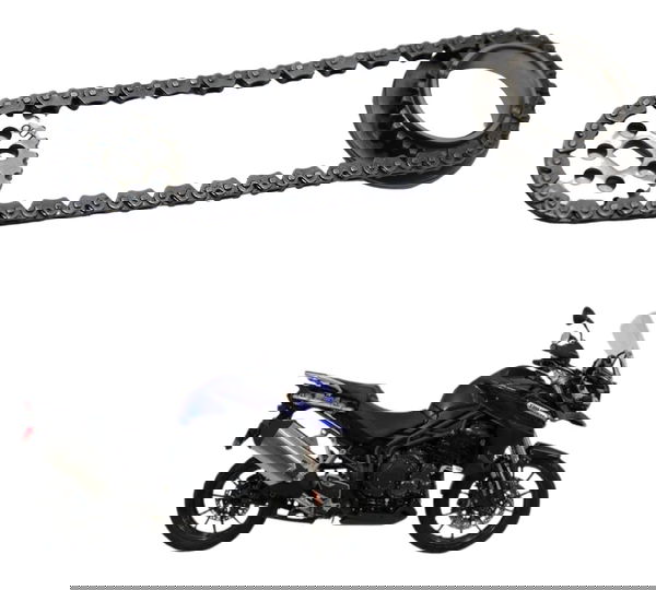 Engrenagem Corrente Bomba Óleo Triumph Tiger 1200 12-17 Ex