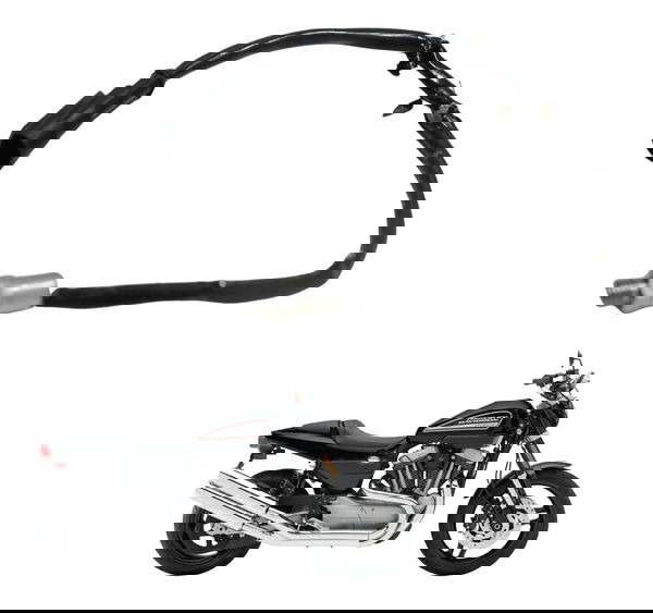 Sensor Temperatura Harley Xr 1200 09-11 Original