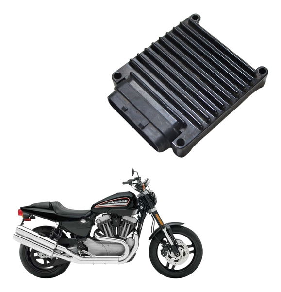 Modulo Principal Injeção Ecu Ecm Harley Xr 1200 09-11 Orig