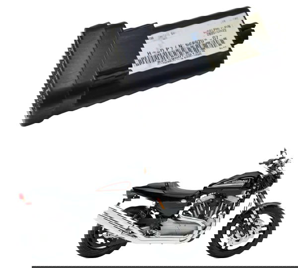 Modulo Segurança Harley Xr 1200 09-11 Original