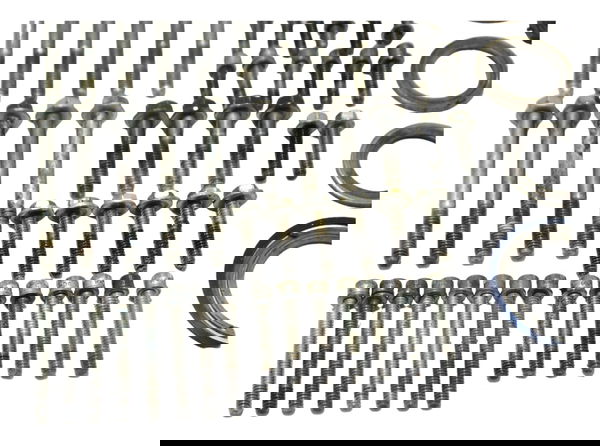 Kit Parafuso Motor Harley Xr 1200 09-11 Original