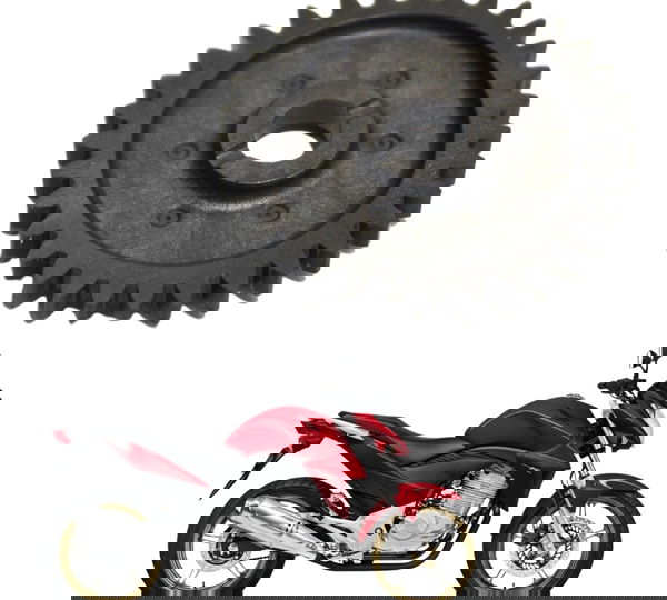 Engrenagem Óleo Honda Cb 300 R 09-15 Original