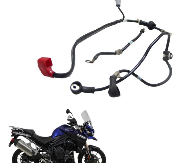 Cabo Bateria +/- Triumph Tiger 1200 12-17 Ex Original