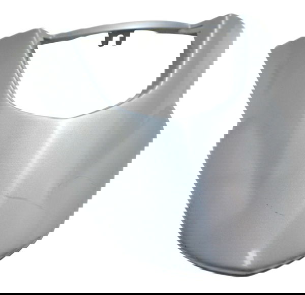 Bico Frontal Bmw G 650 Gs 05-11 Original