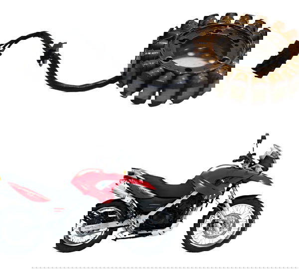 Estator Bmw G 650 Gs 05-11 Original