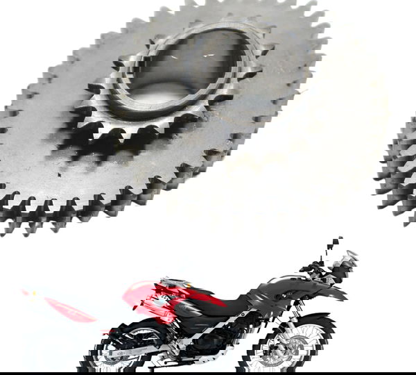 Engrenagem Inferior Comando Bmw G 650 Gs 05-11 Original