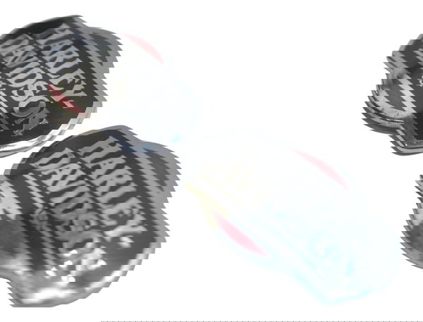 Par Emblema Tanque Harley Electra Touring 08-13 Original