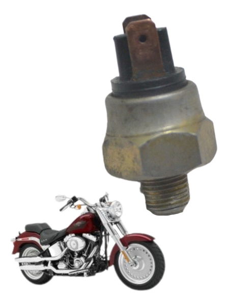 Interruptor Freio Tras Harley Softail Fat Boy 07-11 Original