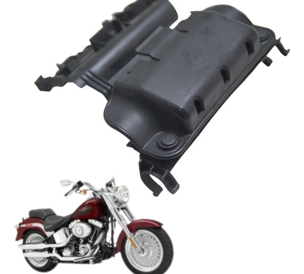 Capa Modulo Abs Traseiro Harley Softail Fat Boy 07-11 Orig