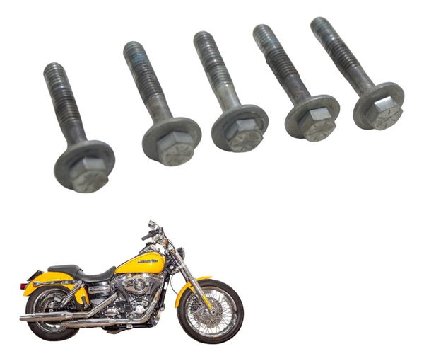 Jogo Parafuso Polia Traseira Harley Dyna Fxdc 2013 Original