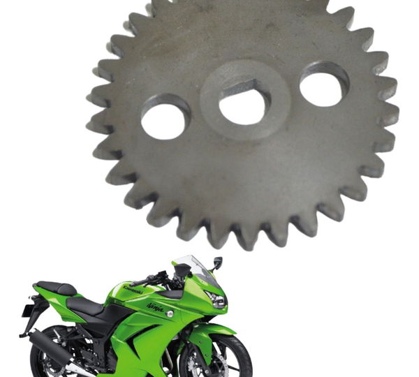 Engrenagem Bomba Óleo Kawasaki Ninja 250 R 08-12 Original
