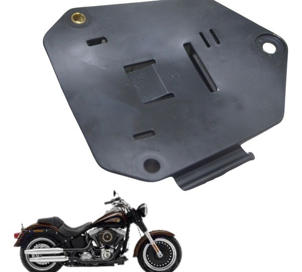 Suporte Modulo Ecm Harley Softail Fat Boy Low 12-17 Original