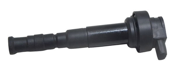 Bobina Ignição Bmw F 800 Gs 09-12 Original